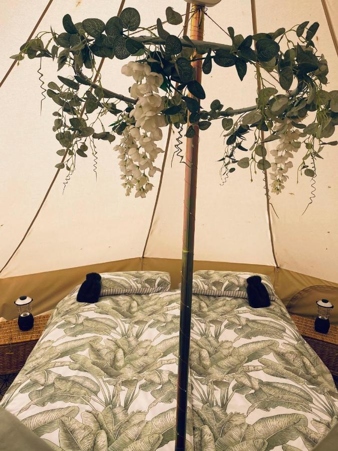 Duneden Belle Glamping Randalstown 외부 사진